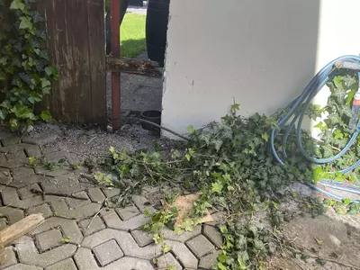 Sickerschacht Projekt Bauunternehmen TR Baubetreuung