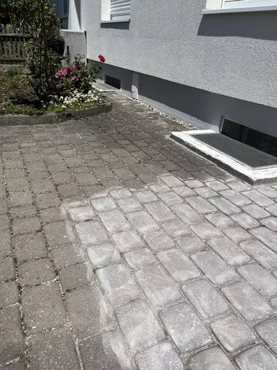 Vorgarten Renovierung Bau Thomas Riedl