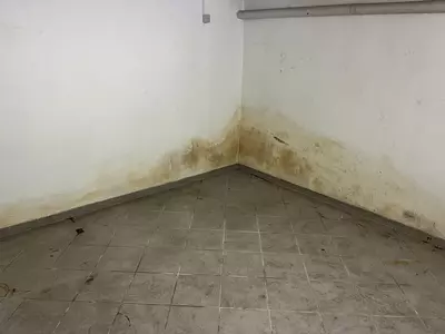 Sanierungen Bauprojekt TR Baubetreuung